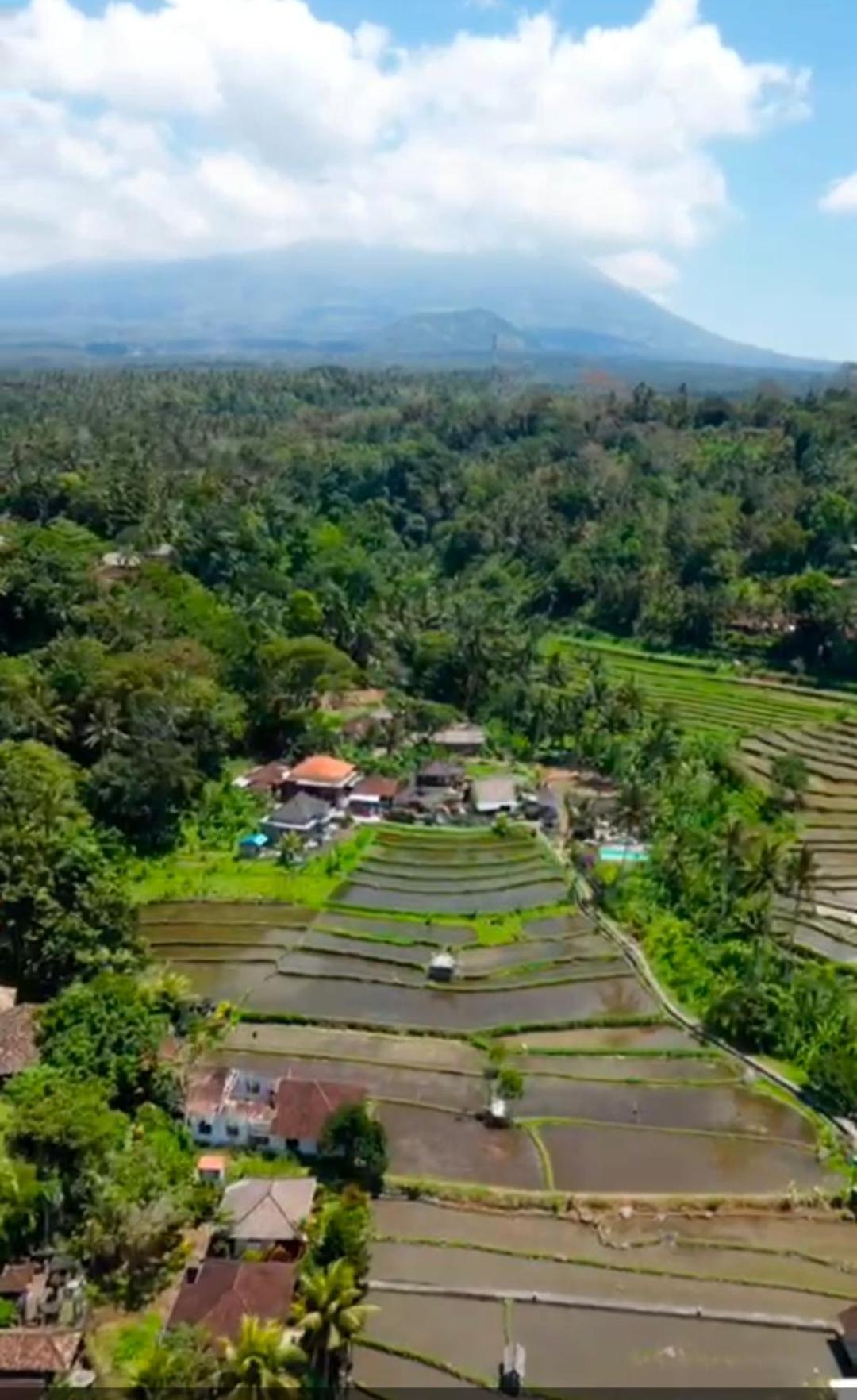 Dau Homestay Karangasem  Ngoại thất bức ảnh
